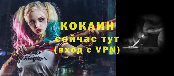 прущие крисы Верея