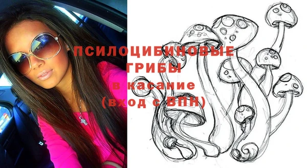 apvp Верхний Тагил