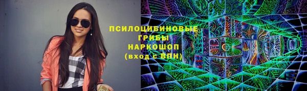 сатива Ступино