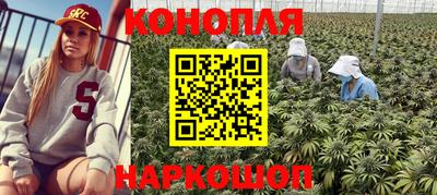 шишки Тверь