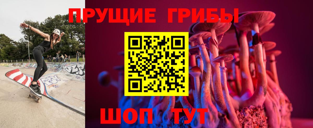 Псилоцибиновые грибы ЛСД  закладки  Северобайкальск  Вход с VPN  Псилоцибиновые грибы Magic Shrooms 